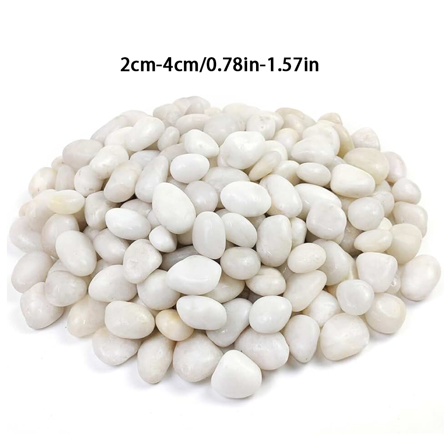 300/600g Polished White Pebble - Bonsai Rock Garden ulasan dan harga