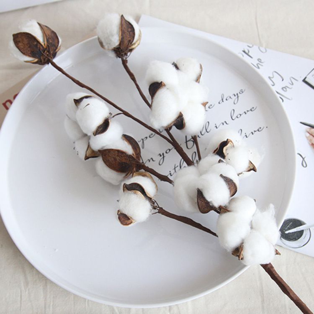 Naturally Cotton Artificial Pl - Bonsai Garden Festival ulasan dan harga