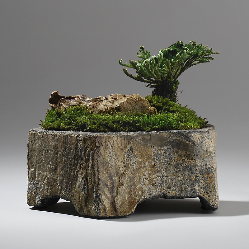 Basalt Natural Stone Flower Po - Bonsai Garden Indoor ulasan dan harga