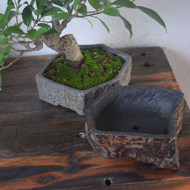 Basalt Natural Stone Flower Po - Bonsai Garden Indoor ulasan dan harga