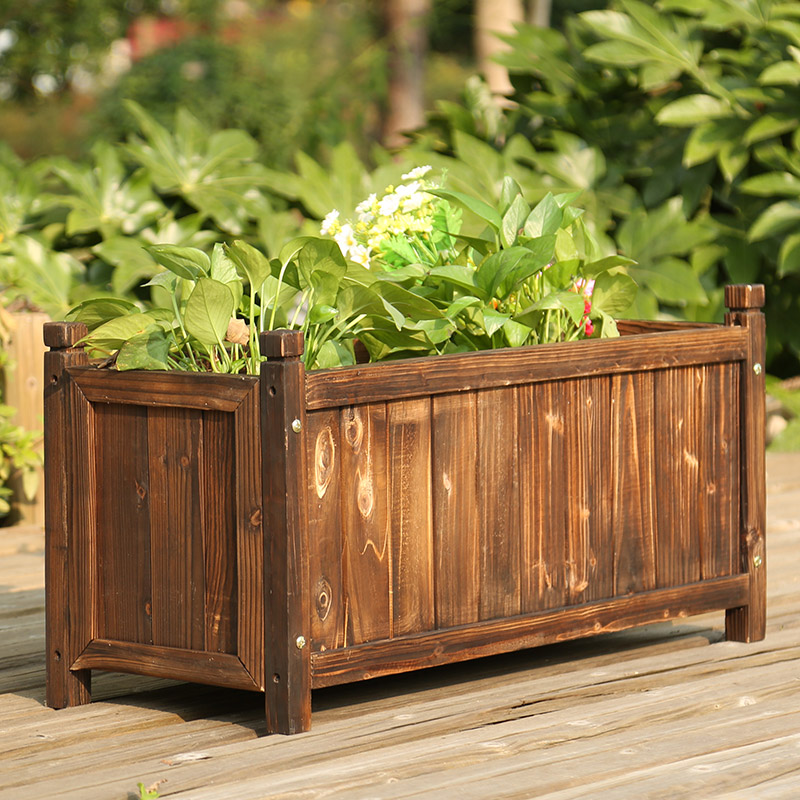 Create a Balcony Small Garden  - Bonsai Garden Indoor ulasan dan harga