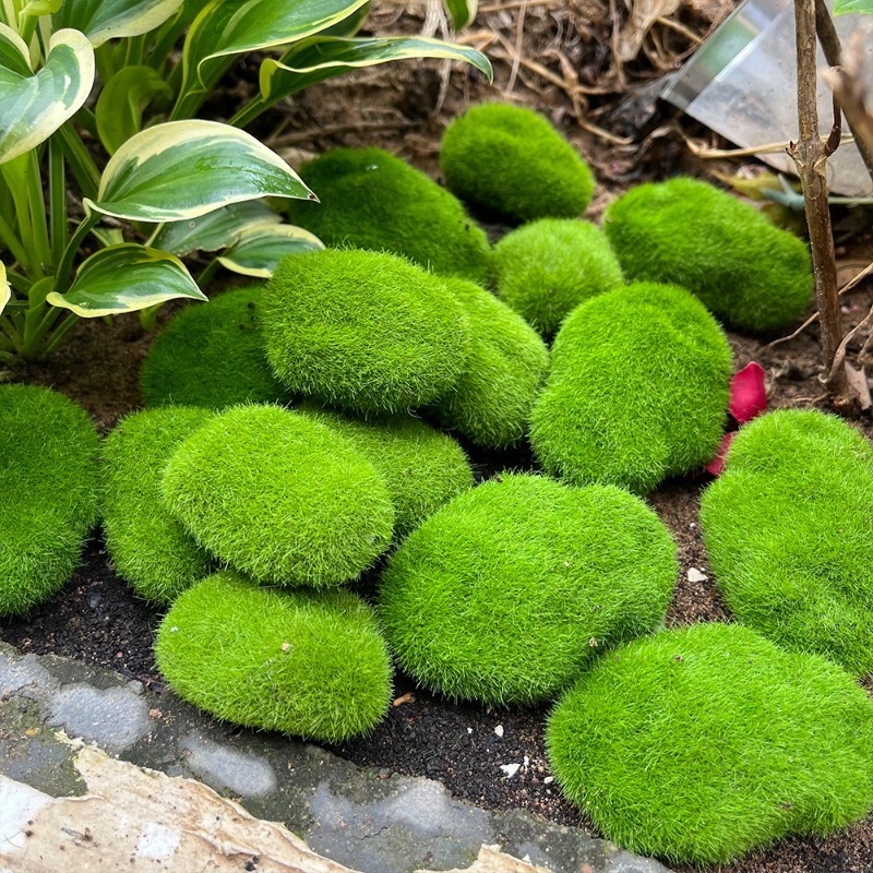 5/30pcs Simulation Moss Stone  - Bonsai Rock Garden ulasan dan harga