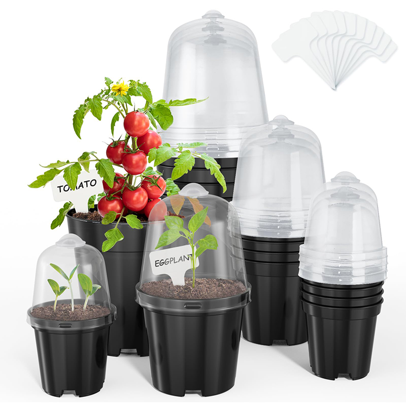 Nursery Pots Flowerpot Gardeni - Bonsai Garden Indoor ulasan dan harga