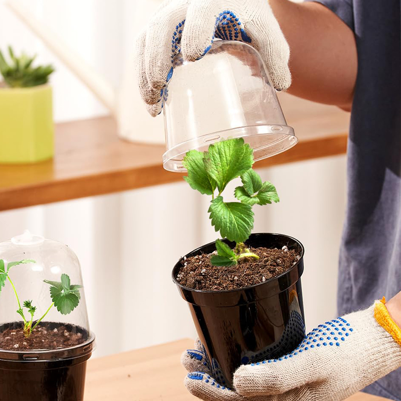 Nursery Pots Flowerpot Gardeni - Bonsai Garden Indoor ulasan dan harga