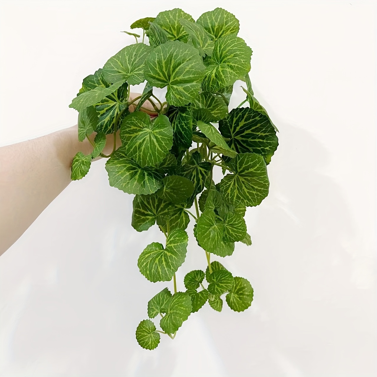 An artificial hanging vine pla - Bonsai Garden Indoor ulasan dan harga