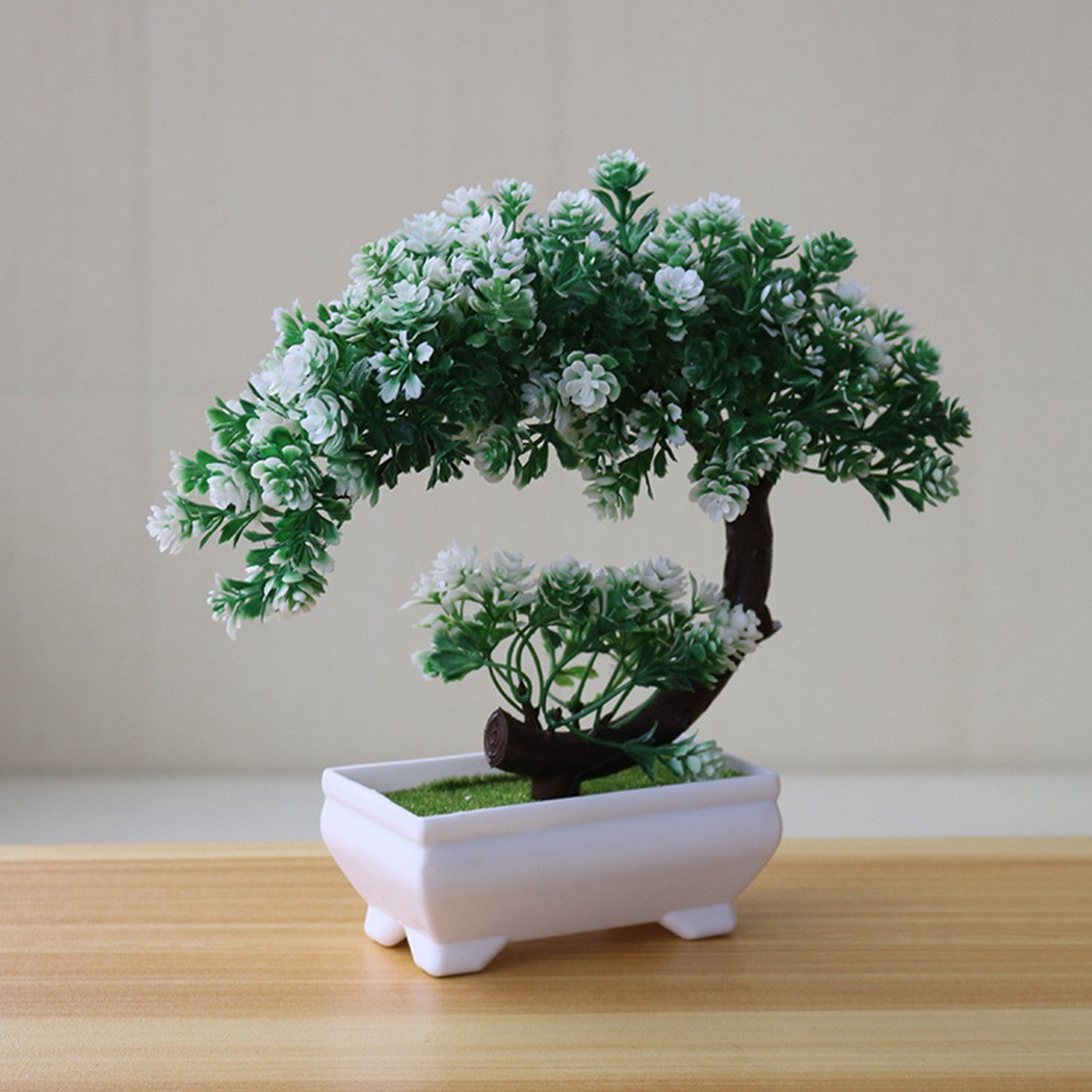 Plastic potted bonsai ornament - Bonsai Garden Indoor ulasan dan harga