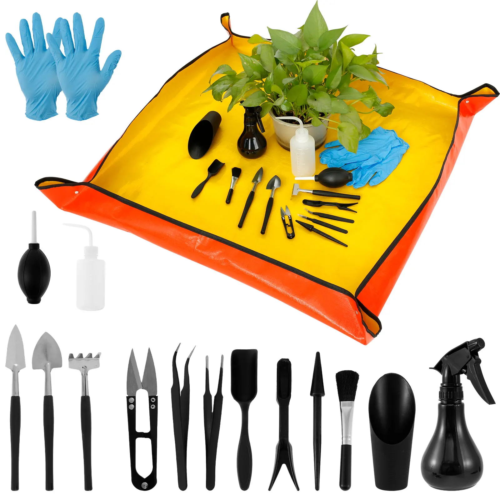 13/16Pcs Garden Succulent Plan - Bonsai Garden Indoor ulasan dan harga