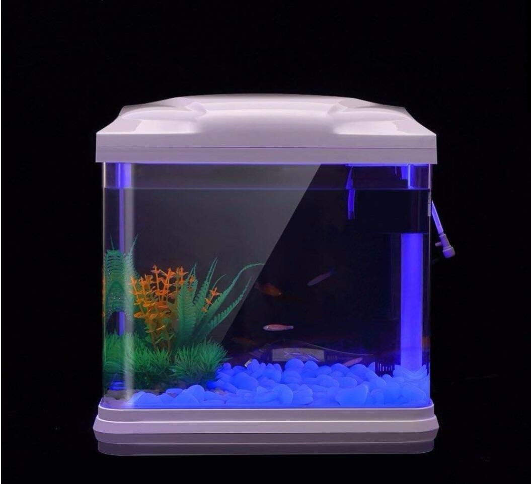 Fish Tank Rocks Glow Blue Pebb - Bonsai Rock Garden ulasan dan harga