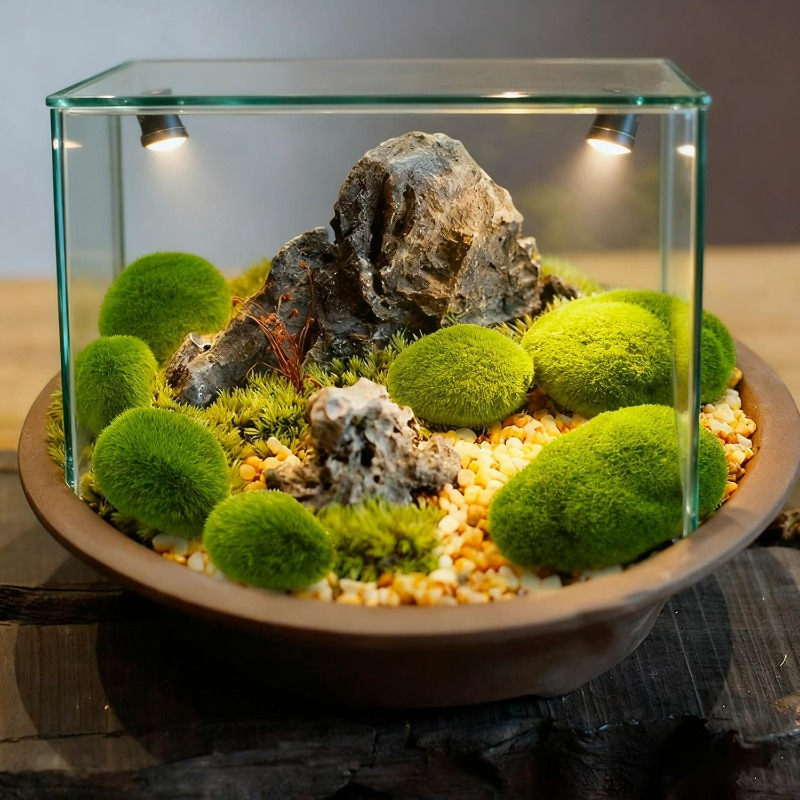 50/5PCS Artificial Foam Moss R - Bonsai Rock Garden ulasan dan harga