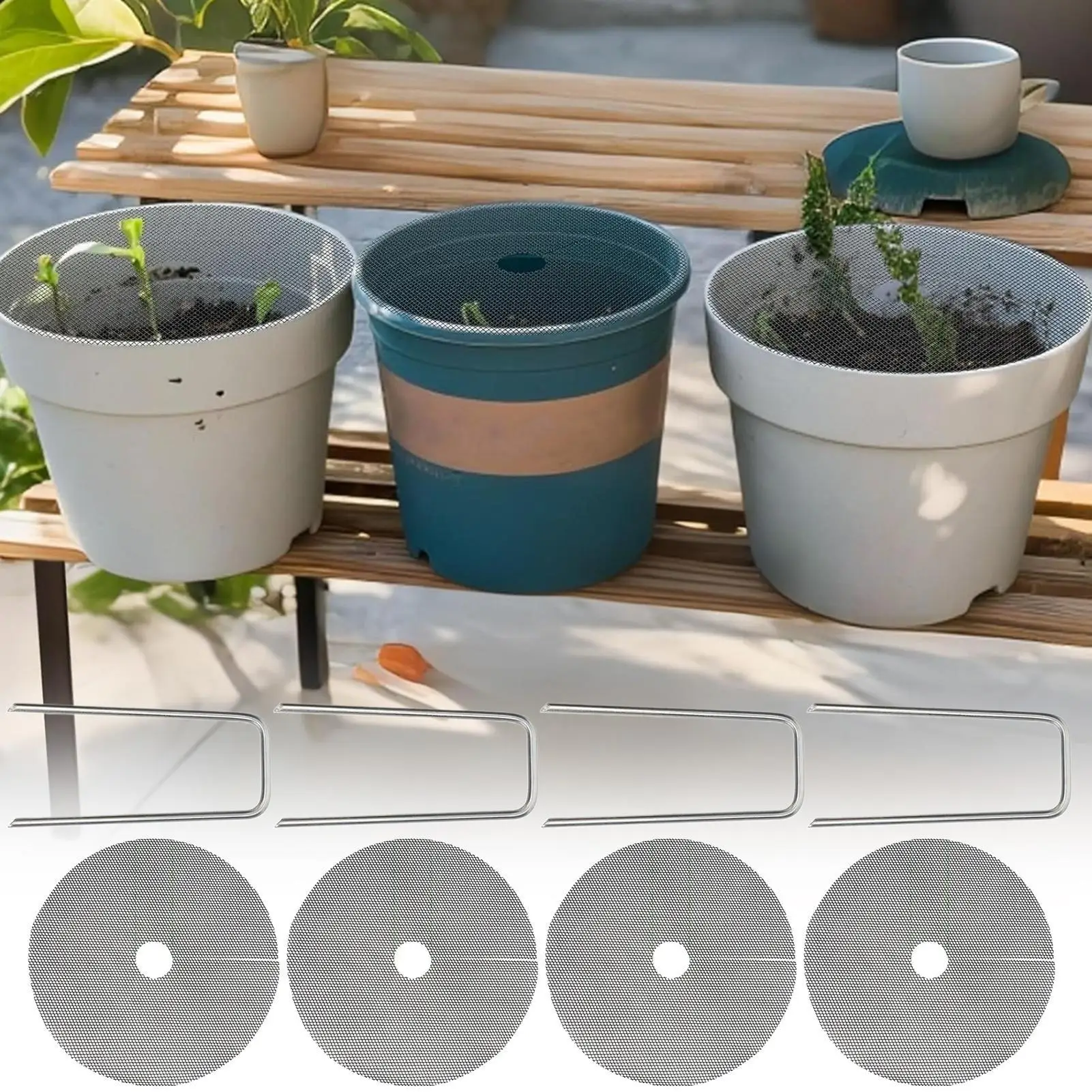 Indoor Plant Protector from Ca - Bonsai Garden Indoor ulasan dan harga